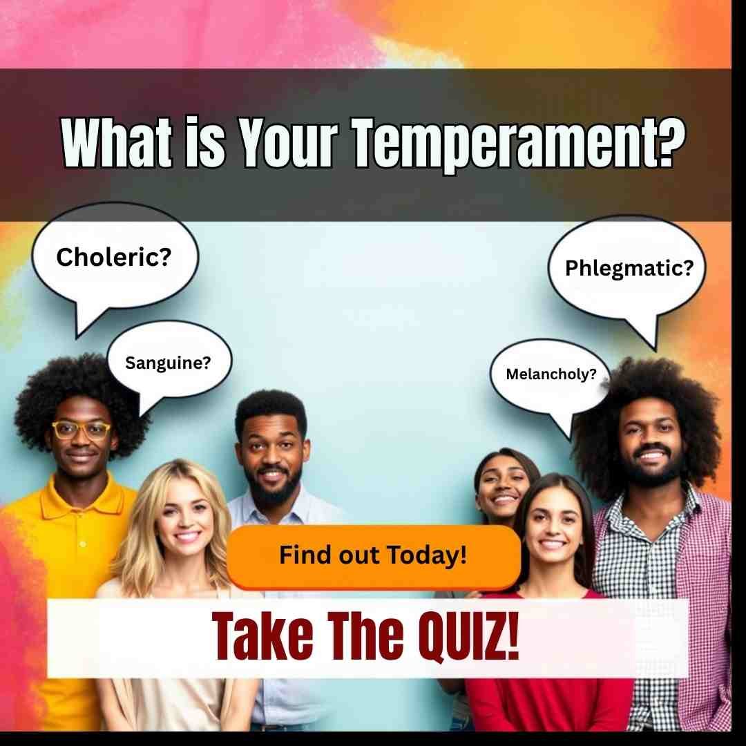 Discover Your Temperament style=